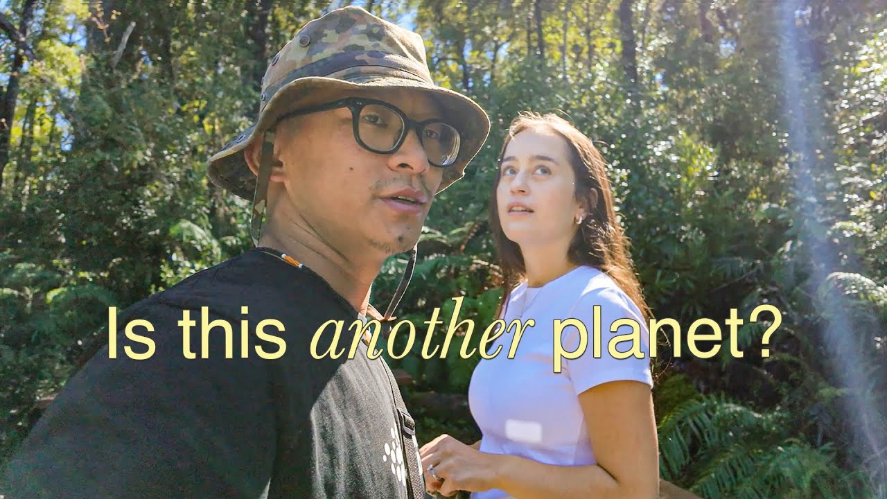 We Walked Above the Trees | Treetop Walk NZ | Naga + Kiwi Couple NZ Travel Series Pt. 3