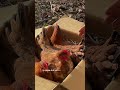 Ecco dove #cova e dorme una #gallina #faidate