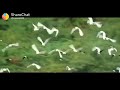 Karutha penne shobhana lalettan whatsapp status Whatsapp Status Video Download Free