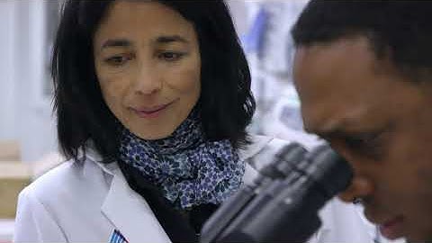 The PhD in Biomedical Sciences Program