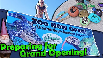 Finishing our Reptile Zoo!! (Building Update #19)