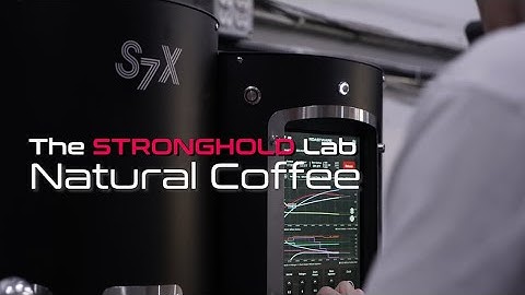 [Stronghold Lab] Let