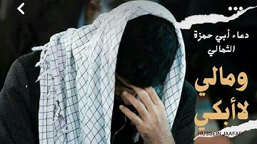 دعاء أبي حمزة الثمالي | ومالي لا أبكي | القارئ حسين جعفر| Hussein jaafar | And why don't i cry