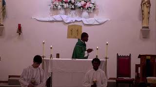 The 11th Sunday of Ordinary Time- Year A (10:00 am)
