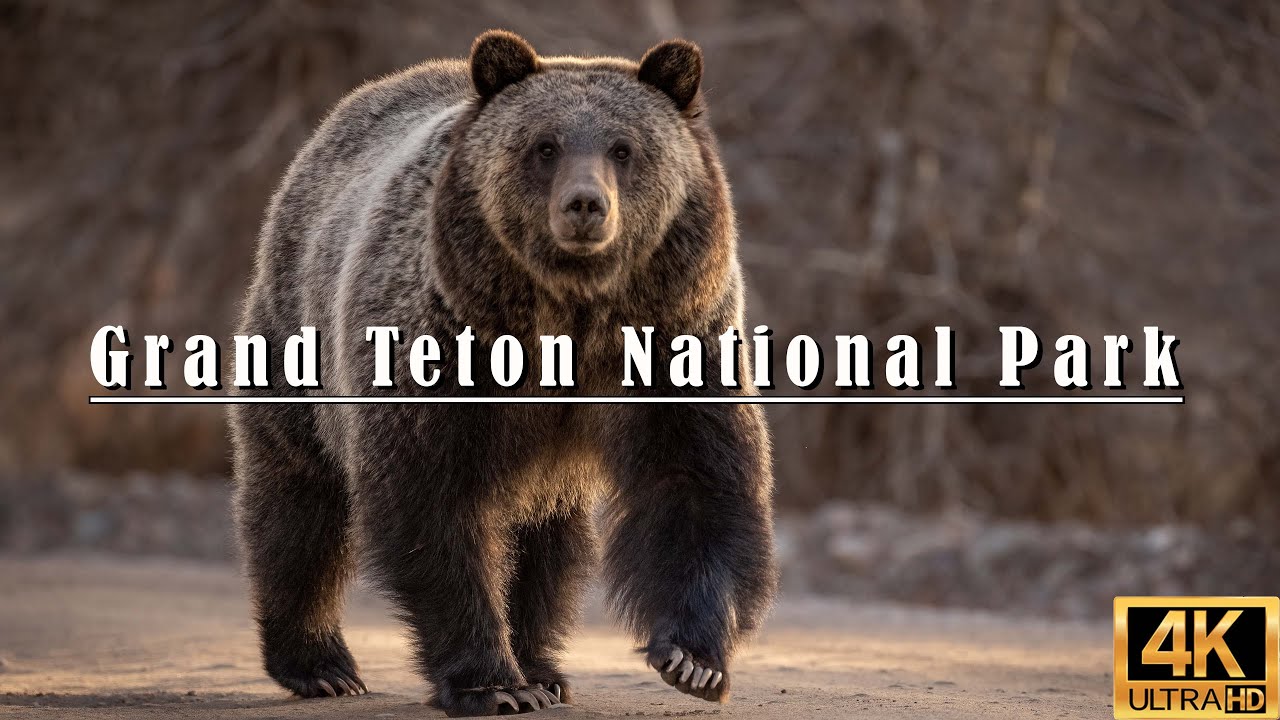 Grand Teton National Park - Video Workshop 2023