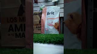 Alimentos Brit Para Tu Perro Faunamigo