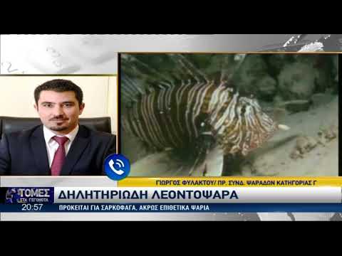 Γέμισαν οι θάλασσες της Κύπρου με λεοντόψαρα