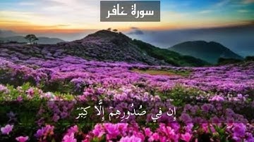 سورة غافر 473 page {القارئ هزاع البلوشي}