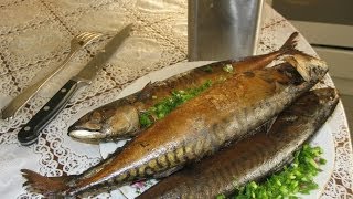 Коптильня с гидрозатвором Коптим скумбрию Коптильня с гидрозатвором Коптим скумбрию