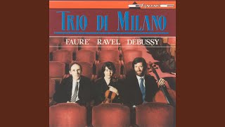 Piano Trio in D Minor, Op. 120: I. Allegro ma non troppo