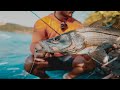 Nuevo RECORD Personal a LIGHT TACKLE | ROBALO JURELES | Light Fishing