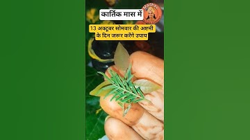 13 अक्टूबर कार्तिक मास सोमवार की अष्टमी के दिन जरूर करें यह उपाय#pradeepmishraji