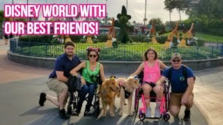 Two Service Dogs at Disney: First Time in Toy Story Land!