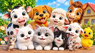 Meow Meow Billi Karti | Hindi Rhyme For Kids | म्याऊ म्याऊ | Balgeet In Hindi |