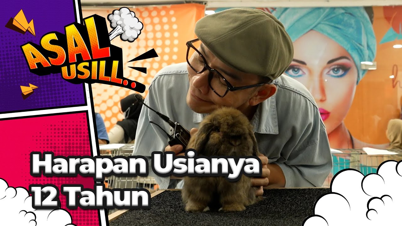 Serunya Main ke Acara Kontes Kelinci, Harganya Capai Ratusan Juta