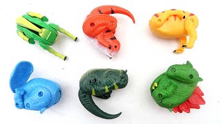 Transforming Dino Eggs Toy Package - Tyrannosaurus, Triceratops, Stegosaurus | Best Dinosaur Toys