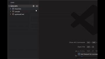 Zowe Explorer: How to create a profile with Optional Credentials