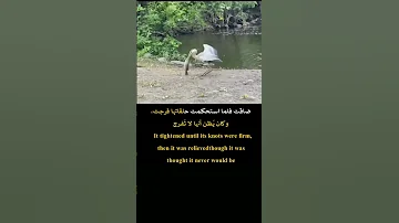 ضاقت فلما استحكمت حلقاتها فرجت وكان ي ظن أنها لا ت فرج عبارات اقنباسات Short 