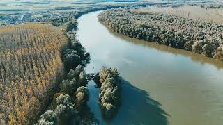 Drone Test. Belišće Bistrinci Bridge Flow Of The River Drava.