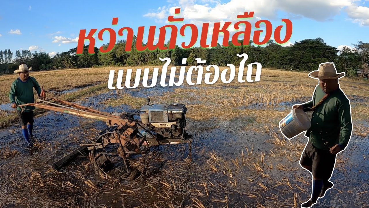 ขั้นตอนการหว่านถั่วเหลืองโดยไม่ต้องไถแบบวิถีไทคอนสาร EP 310