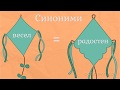 Синоними - Български език 3 клас | academico