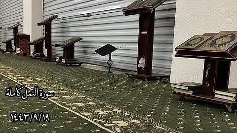 جامع الشنقيطي | سورة النمل كاملة "تلاوة حزينة"
