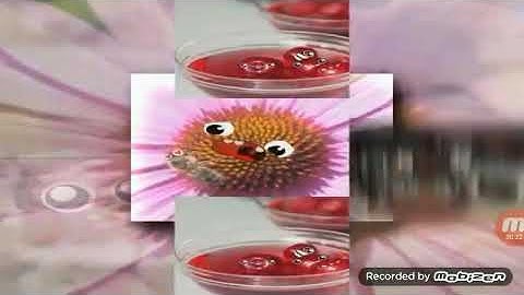 Ytpmv reverse scan rast