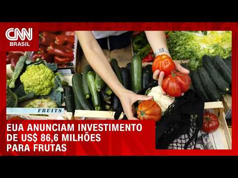 EUA anunciam investimento de US$ 86,6 milhões para frutas e hortaliças | CNN AGRO NEWS
