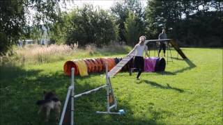 Agility trénink Málkov 18.8.2016 by Klára Nováková 3,127 views 7 years ago 2 minutes, 2 seconds