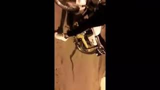 Mersin Motor Çetesi