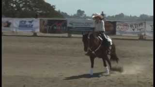 Hickory Holly Tag2014 RBB Novice NP