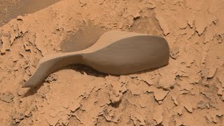 Curiosity Mars Rover captured this on Martian sand on February 13, 2022