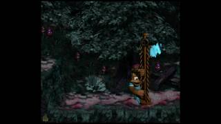 Lightning Look-Out (103%) - Donkey Kong Country 3: Dixie Kong's Double Trouble! 103% Walkthrough
