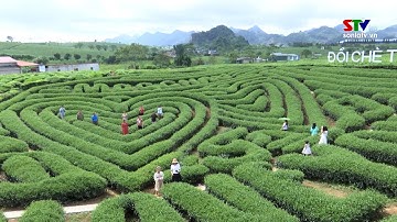 Đặc sắc các hoạt động tại ngày hội văn hóa trên Cao nguyên Mộc Châu