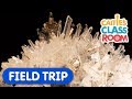 Explore Amazing Rocks and Minerals! | Caitie's Classroom Field Trip | Science & Colors For Kids