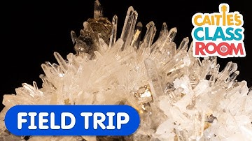 Explore Amazing Rocks and Minerals! | Caitie