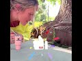 The girl built a fairy house by the road.#pets #cute #shorts #funny
