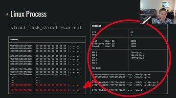 Building a Web Server: Linux Processes