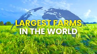 Largest Farms in the World Ranked