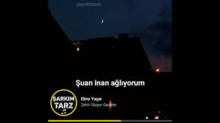 Ebru Yaşar - Zehir Oluyor Geceler Resimi