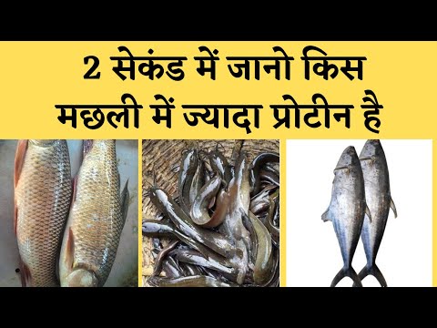 वीडियो: क्या कॉस्टको की मछली अच्छी है?