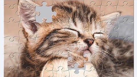 Jigsaw Puzzles Level 2 Cat Puzzle Gameplay Walkthrough (Androids) #catpuzzlegame 
