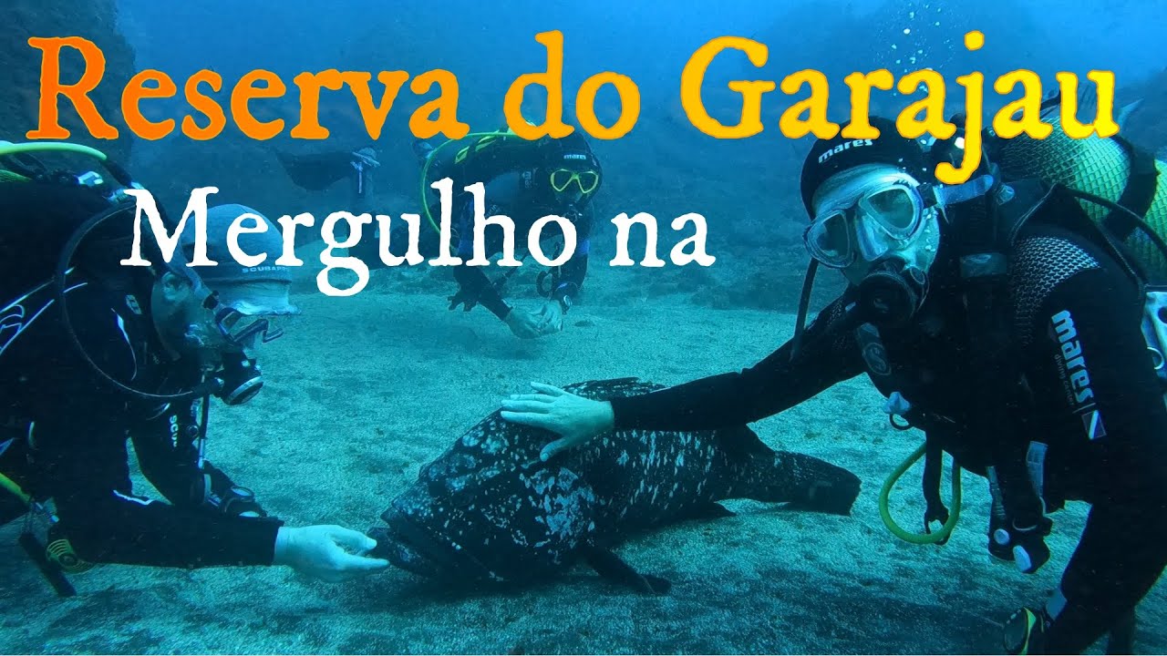 Mergulhar na Reserva do Garajau, Ilha da Madeira