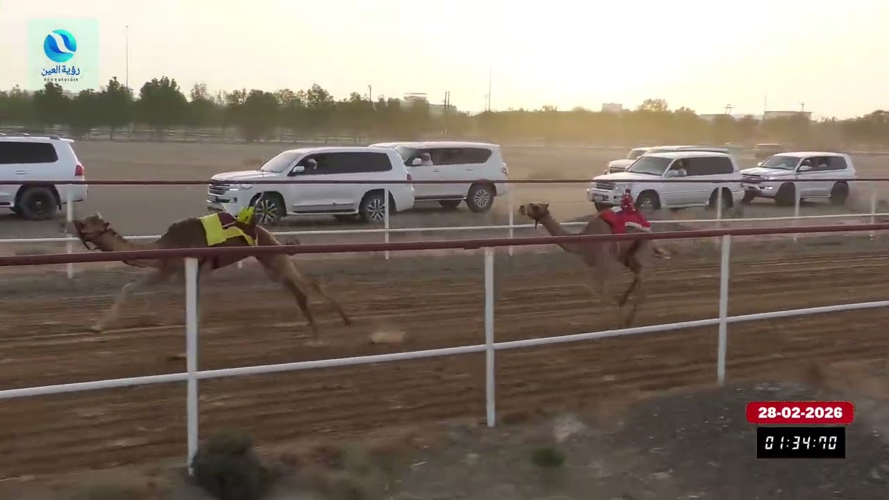 فيديو ميدان السد 28.02.2026 يوم السبت شارة صندوق السد