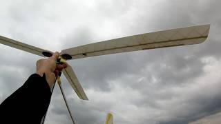 3D Printed LW PLA Burky 11 Auto Gyro Blades Tested On a CraneFly.