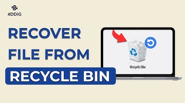 (FIX) How to Recover Deleted Files from Recycle Bin Even after Empty - 5 WAYS 2025