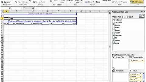 Descriptive Statistics using Pivot Tables