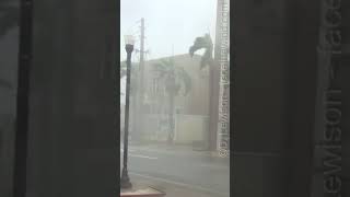 Hurricane Ian - Debris Flying Down the Street #shorts