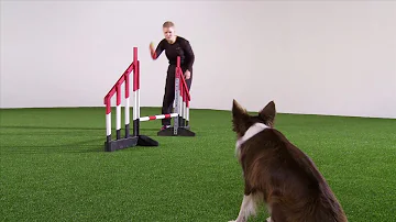 OneMind Dogs Agility Handling Technique - German Turn