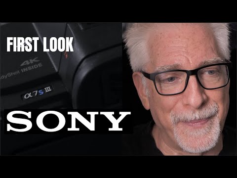 Sony a7s III First Look: Most Compelling Video-Centric Hybrid Since GH5 - But We May Have a Problem